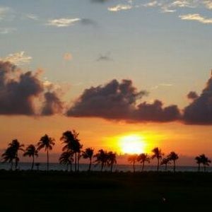 Meet your Posher, Cecil